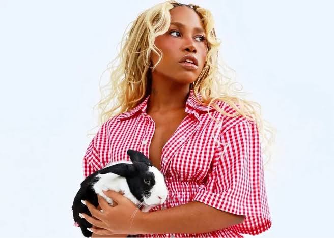 Ebony traz o show de seu novo álbum, “KM2”, para&nbsp;Curitiba